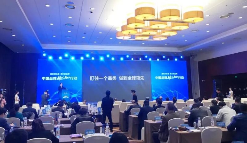 定了！美麗島進(jìn)了國家隊，新華社專訪