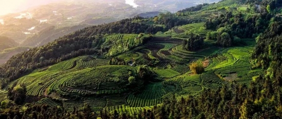 美麗島多焦鏡：這個(gè)明凈新春，以時(shí)間為軸，扶搖直上
